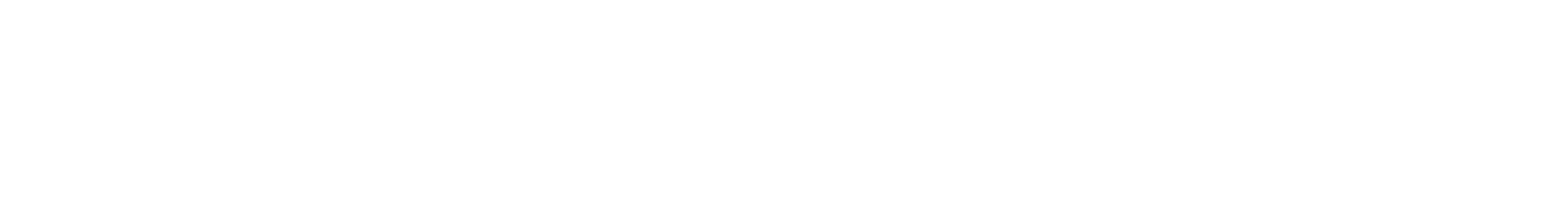 VNN Logo